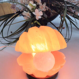 מנורת מלח מעוצבת כקונכייה